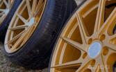 Vossen, valuveljed