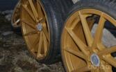 Vossen, valuveljed