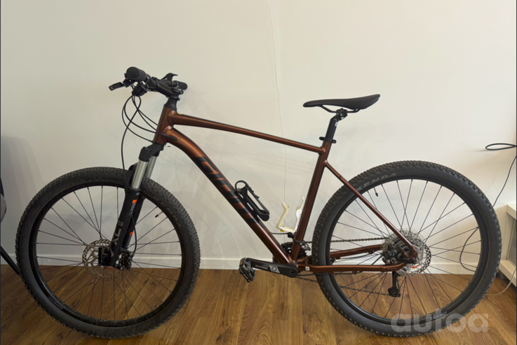 Giant Talon1