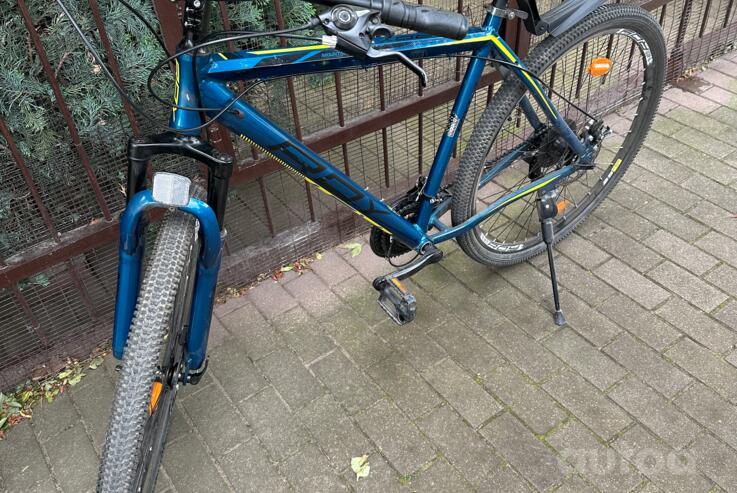 Roy