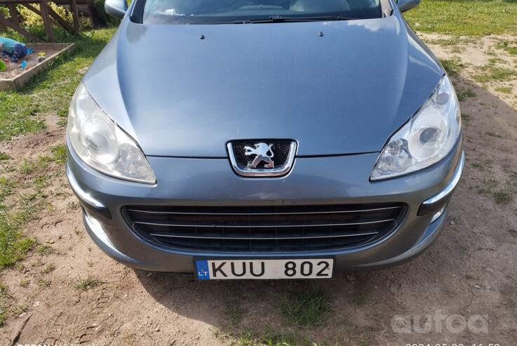 Peugeot 407 1 generation wagon