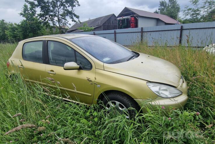 Peugeot 307 1 generation Hatchback 5-doors