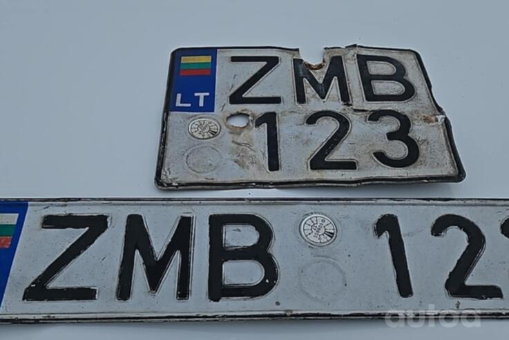ZMB123