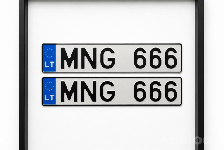 MNG666