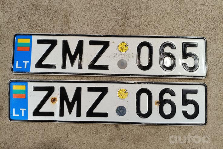 ZMZ065