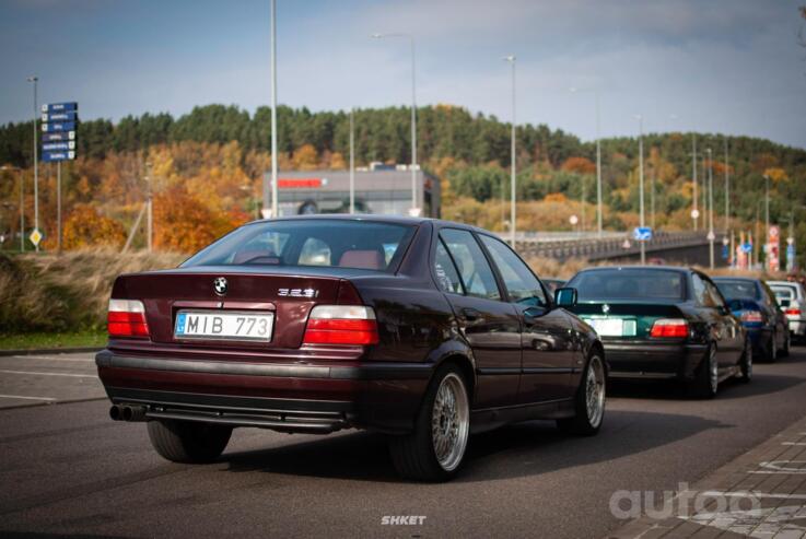 Bbs (replikos), valuveljed