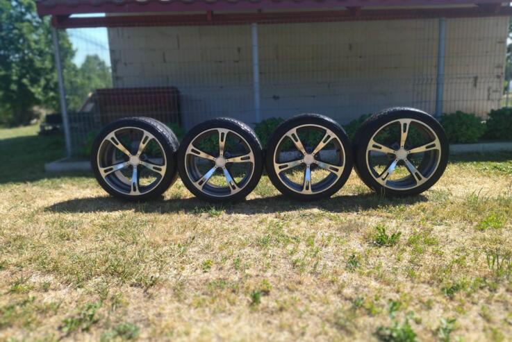 Schnitzer, valuveljed