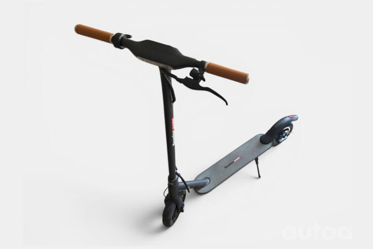 Beaster Scooter Bs06